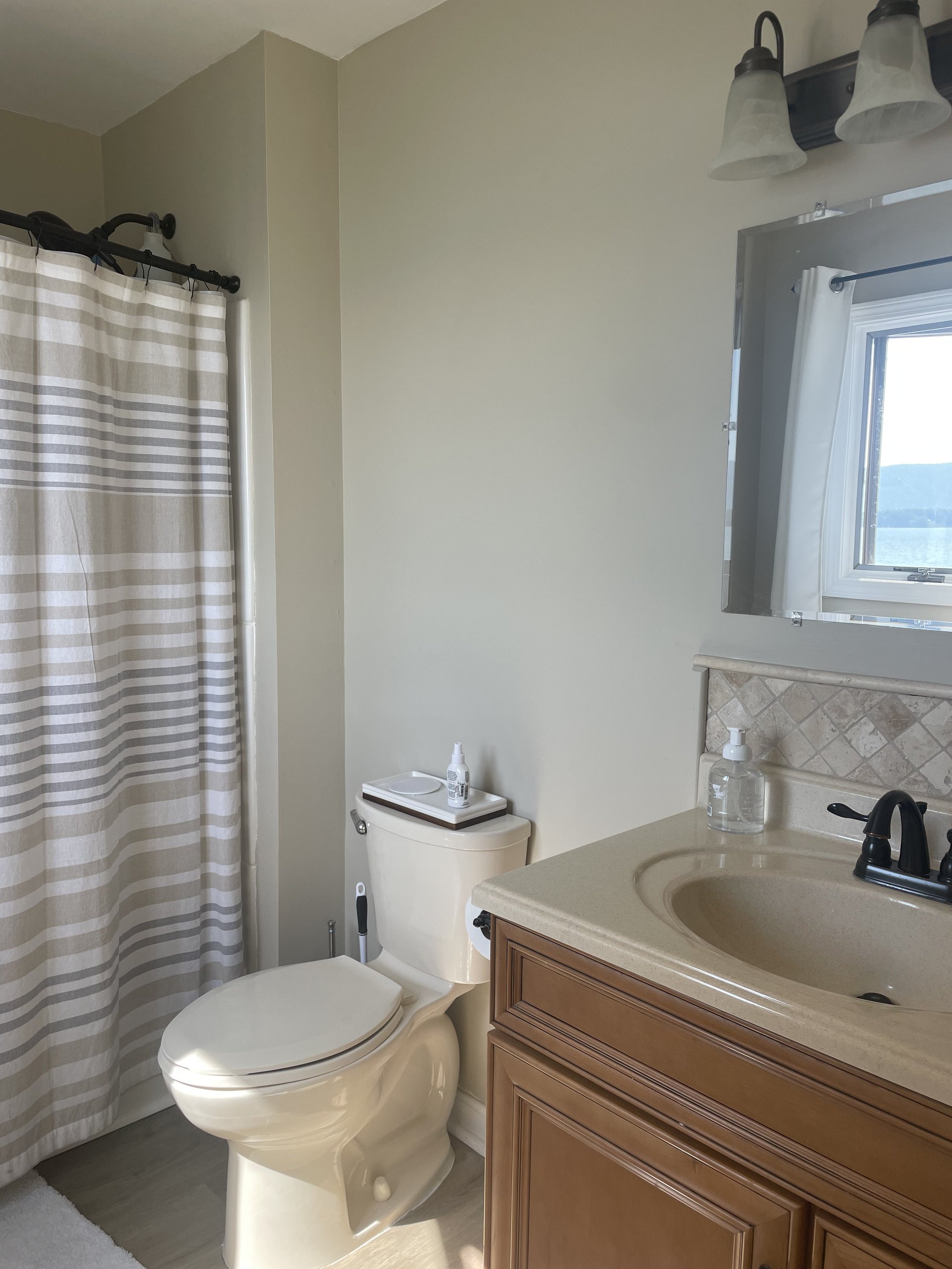 Bathroom vanity and toilet, mirror reflecting the lake just outside
