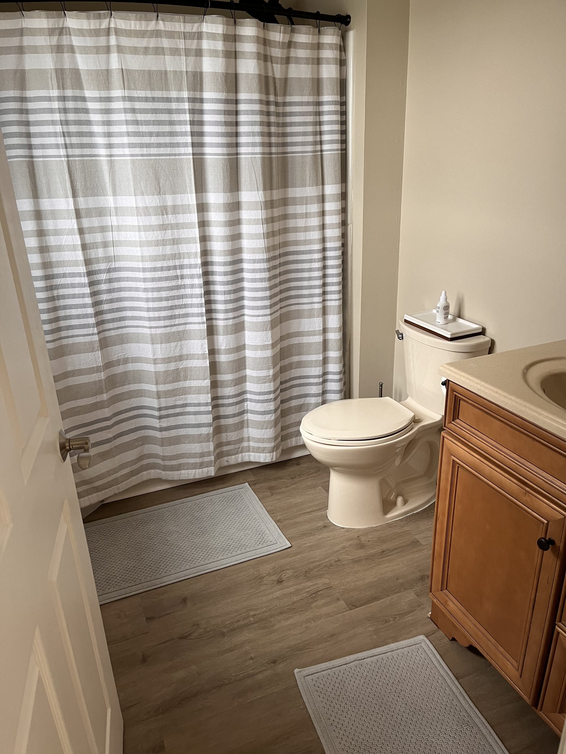 View into the bathroom showing toilet, vanity, and wood-look flooring